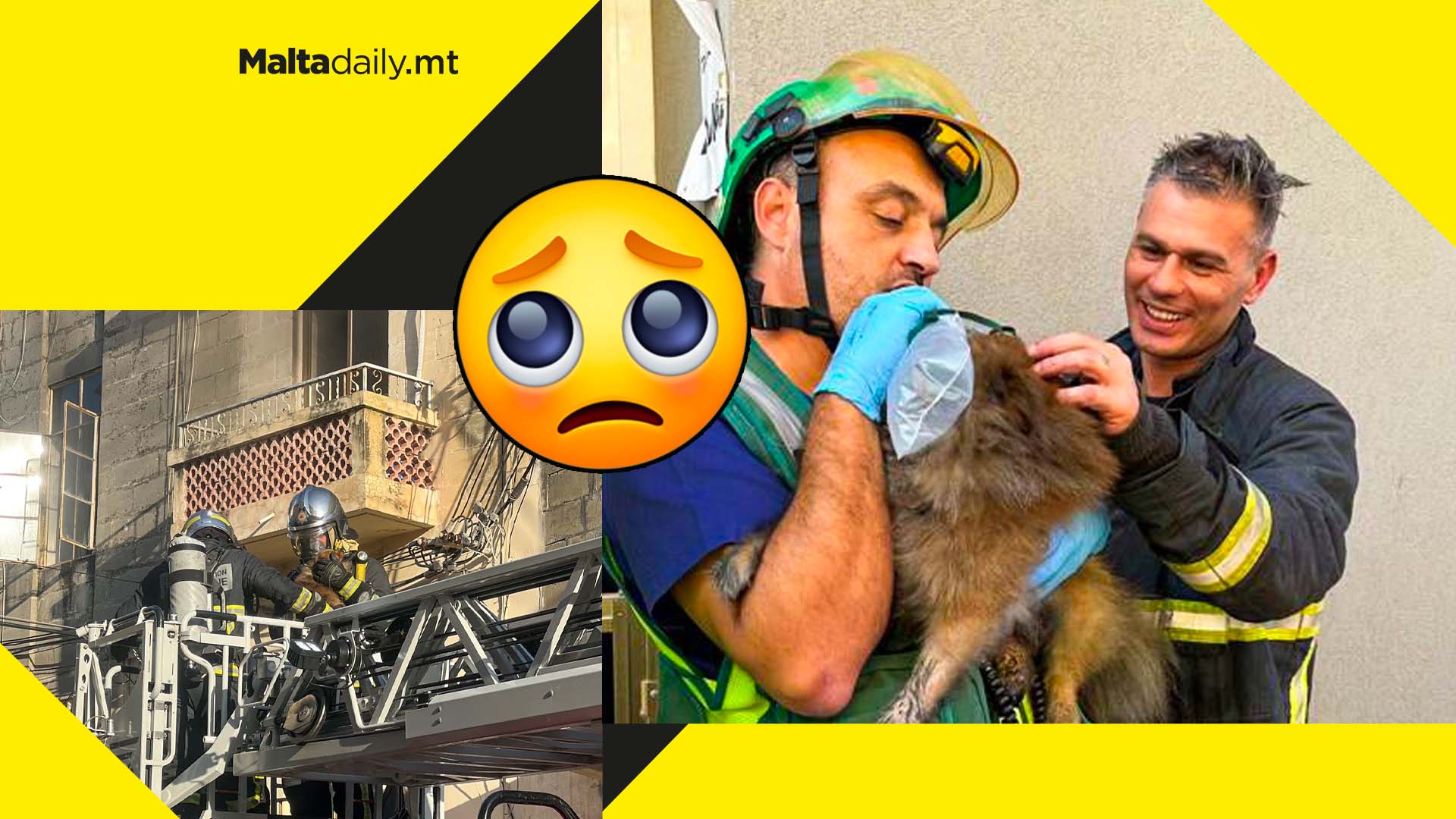Civil Protection rescue dog trapped in burning apartment