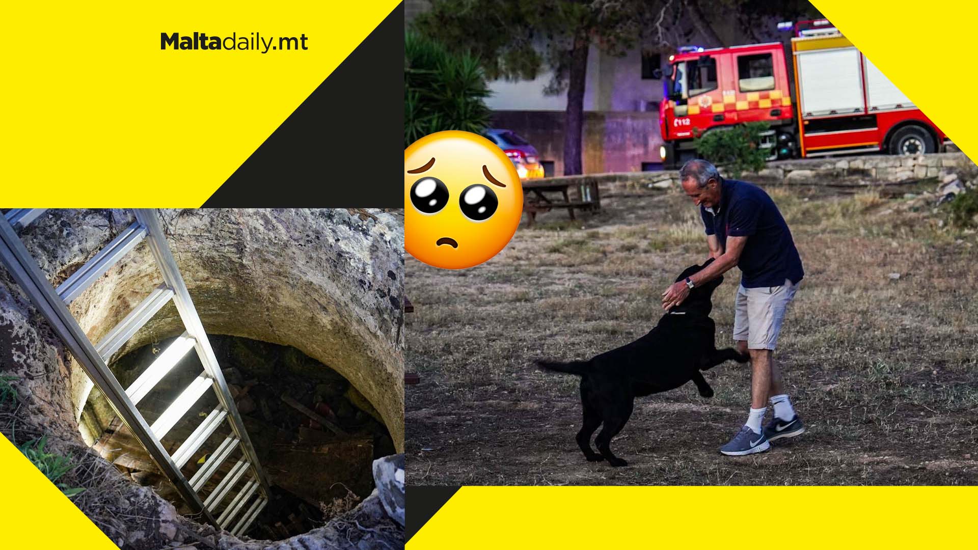 Dog saved by Civil Protection officers after falling down a…
