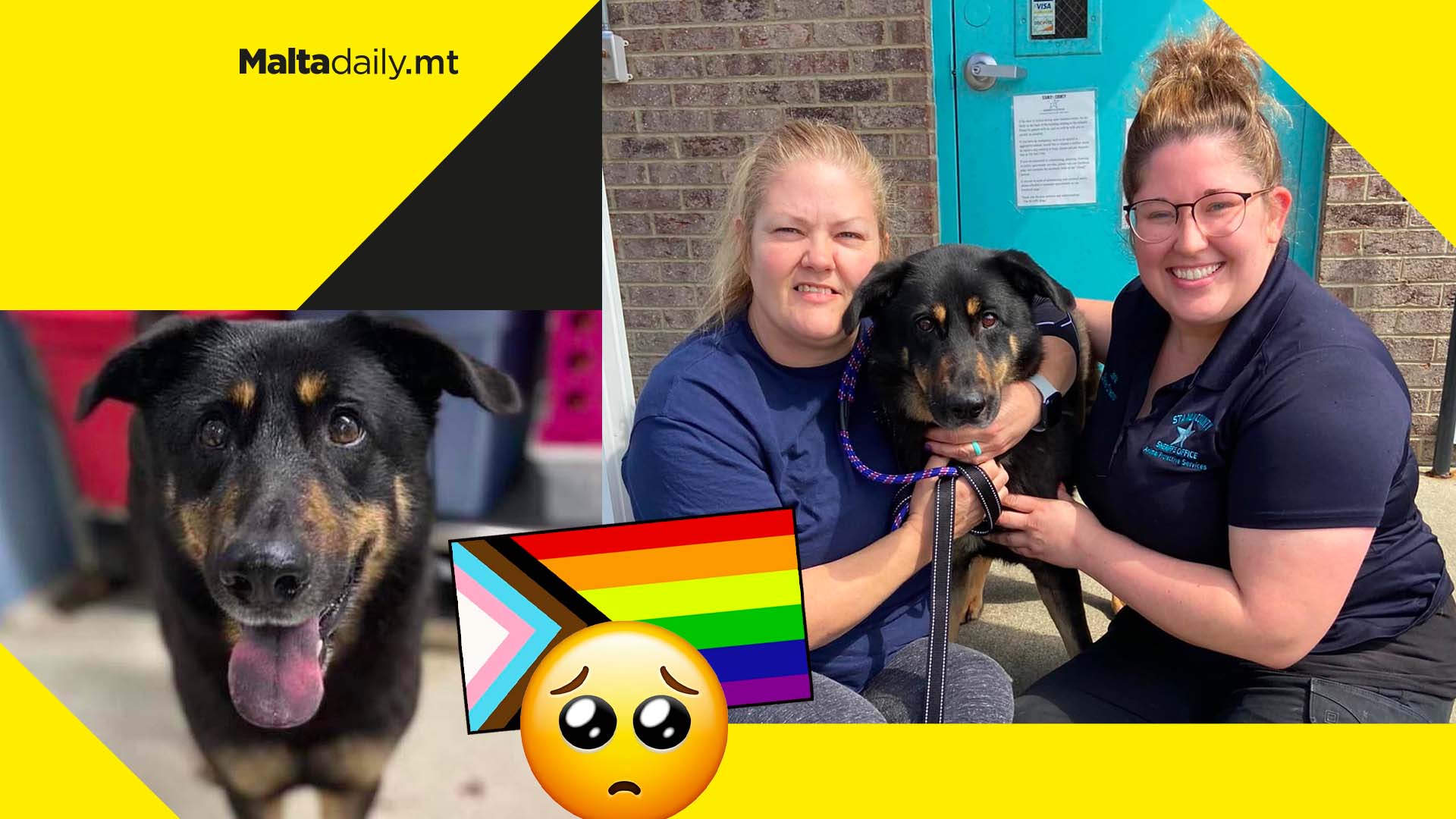 Dog abandoned because owner thought he was gay adopted by g…